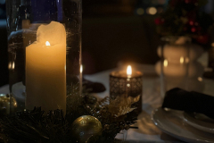 CFLPSF-Holiday-Party-2025-17